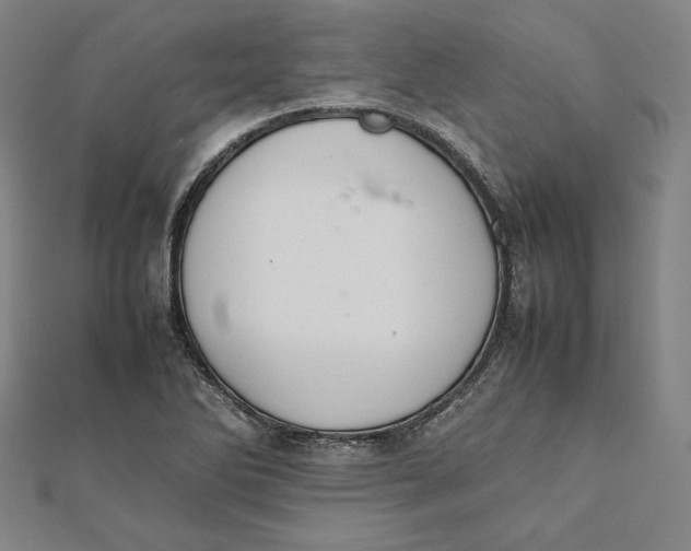 X0000112051270200908250950