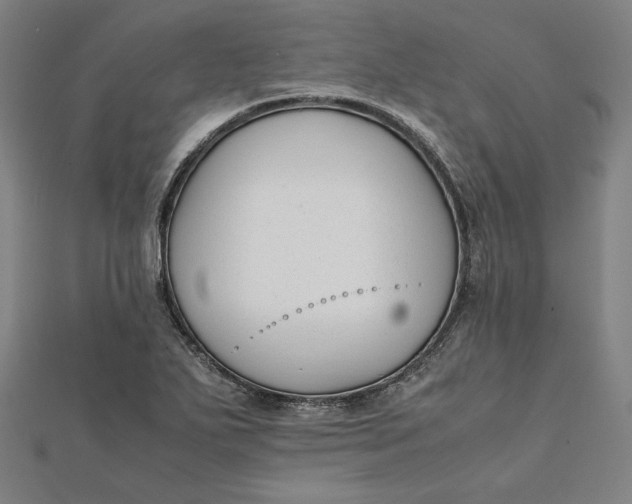 X0000112051271200908250950