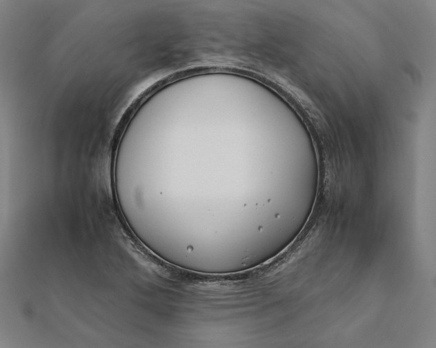 X0000112051272200908250950