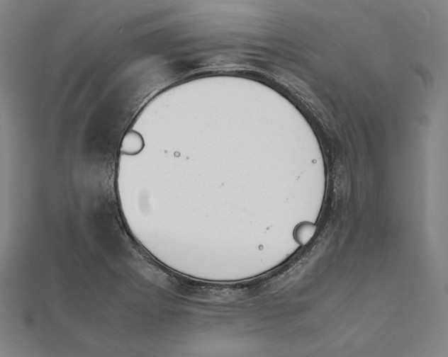 X0000112051273200908250950