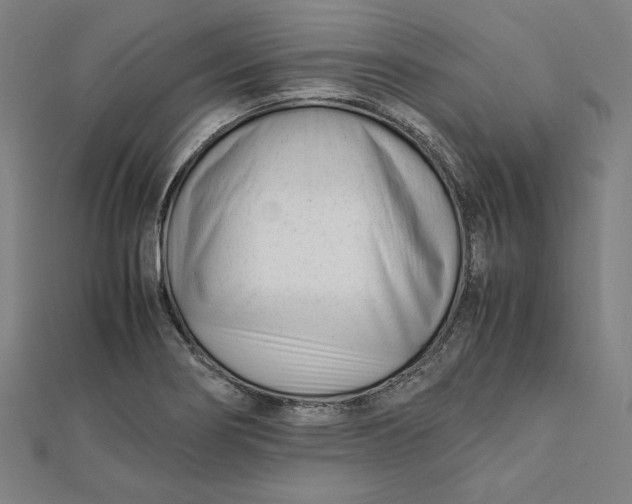 X0000112051274200908250950