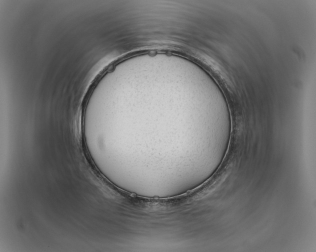 X0000112051275200908250950