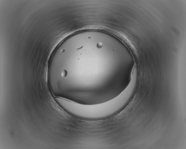 X0000112051276200908250950