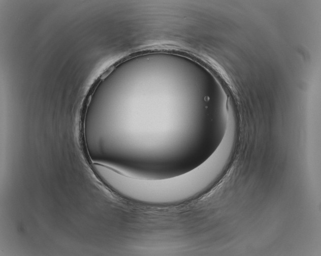 X0000112051277200908250950