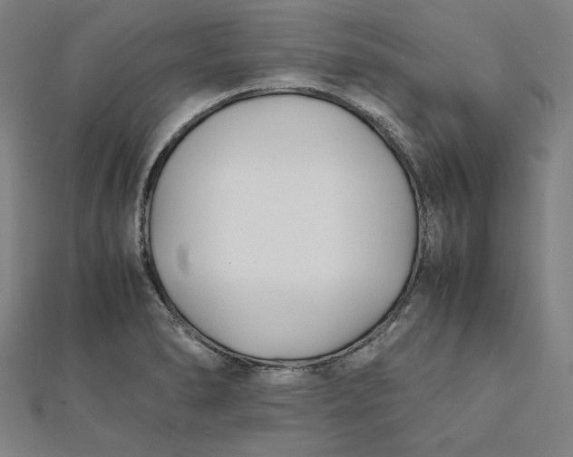 X0000112051278200908250950