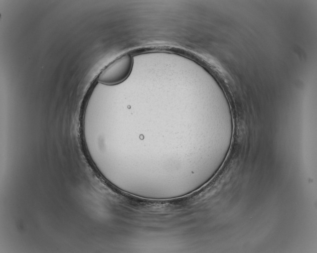 X0000112051279200908250950