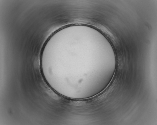 X0000112051280200908250950