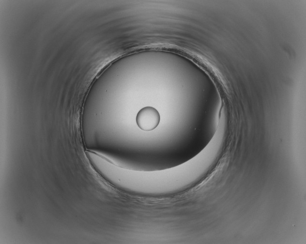 X0000112051281200908250950