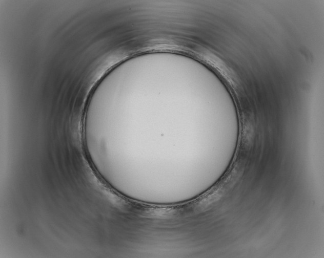 X0000112051282200908250950