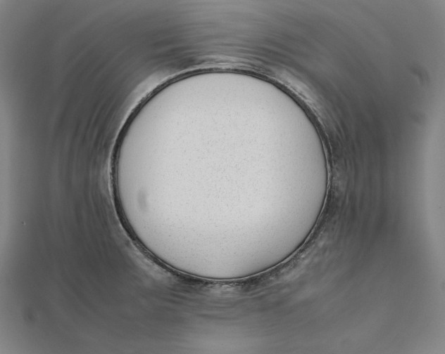 X0000112051283200908250950