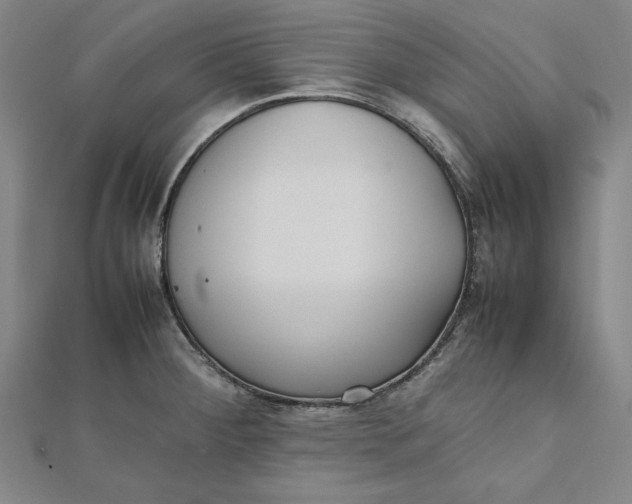 X0000112051284200908250950