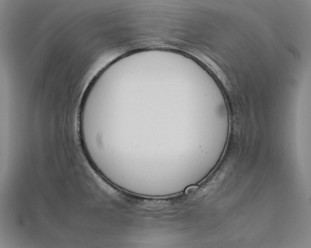 X0000112051285200908250950