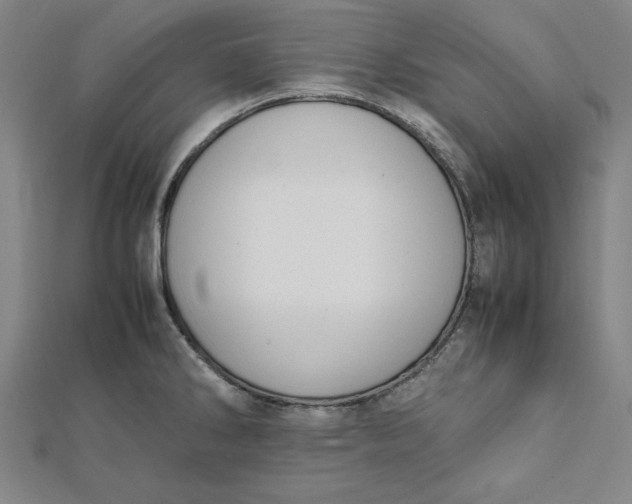 X0000112051286200908250950