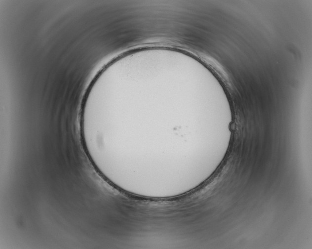 X0000112051288200908250950