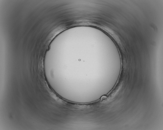 X0000112051289200908250950