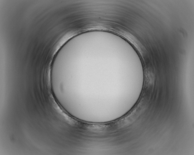 X0000112051290200908250950