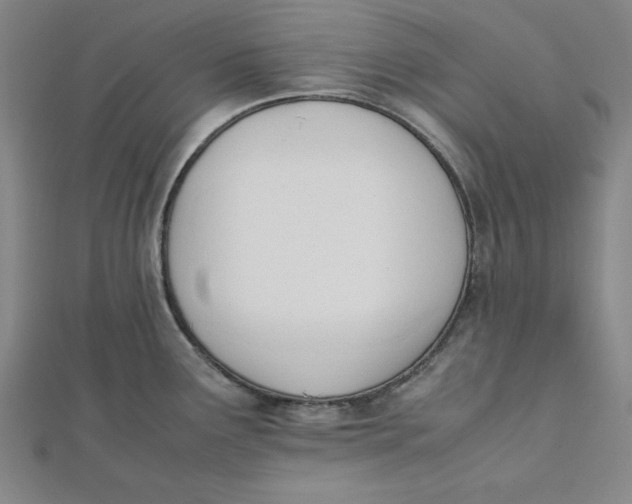 X0000112051291200908250950