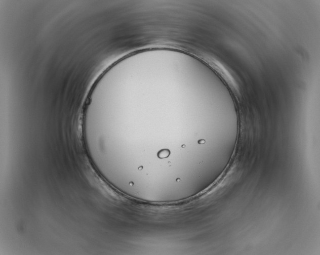 X0000112051292200908250950