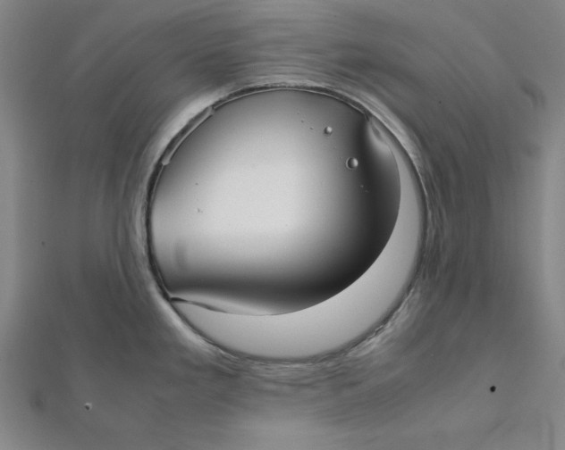 X0000112051293200908250950