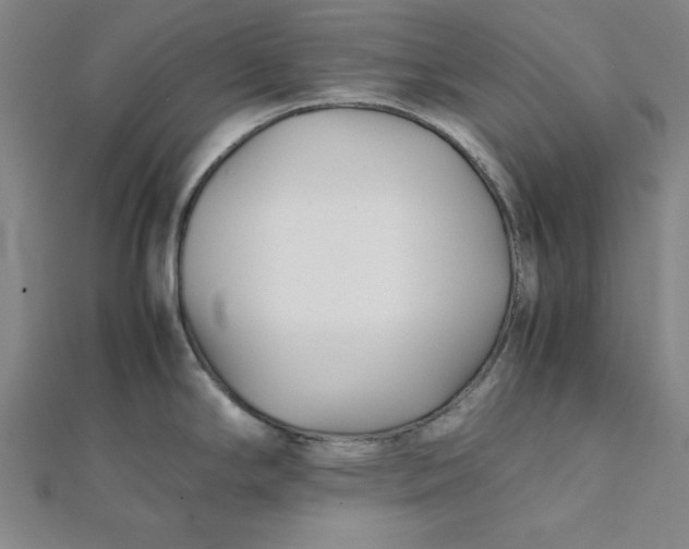 X0000112051294200908250950