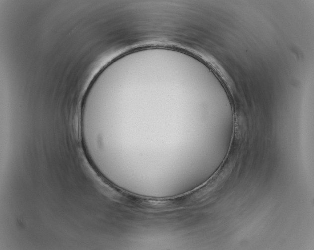 X0000112051295200908250950