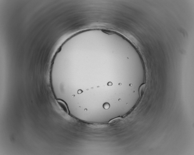 X0000112051296200908250950