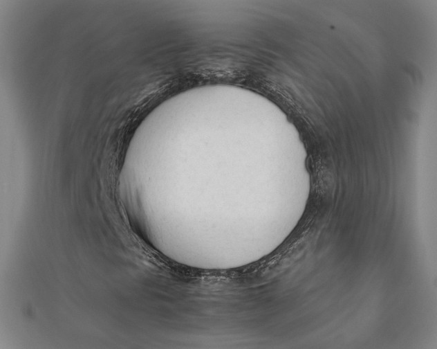 X0000112051297200908250949