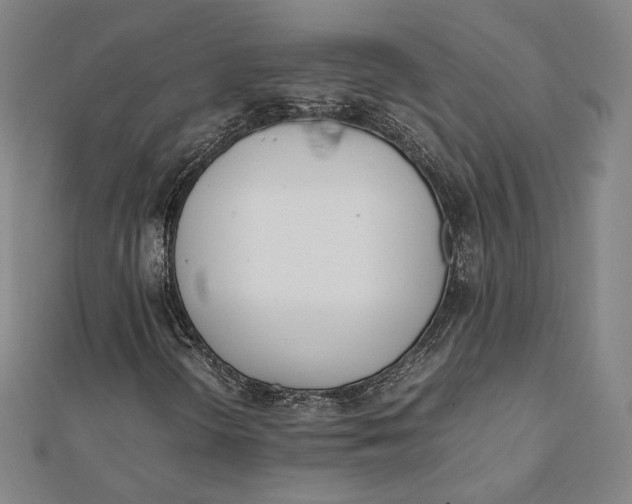 X0000112051298200908250949