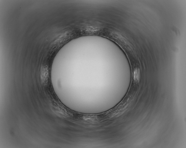 X0000112051299200908250949