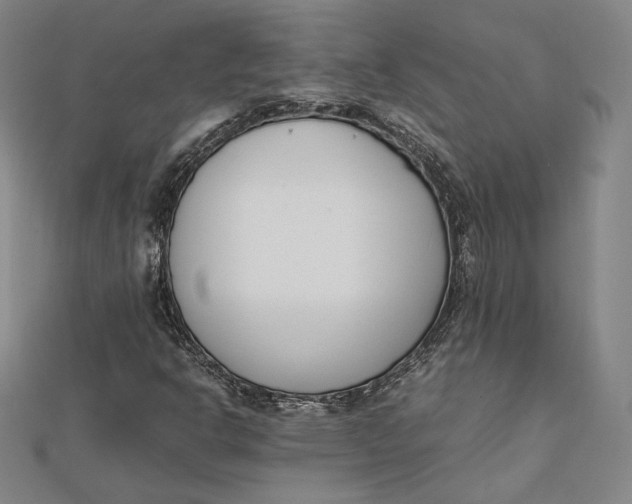 X0000112051302200908250949