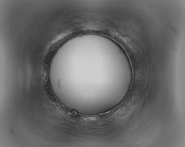 X0000112051303200908250949