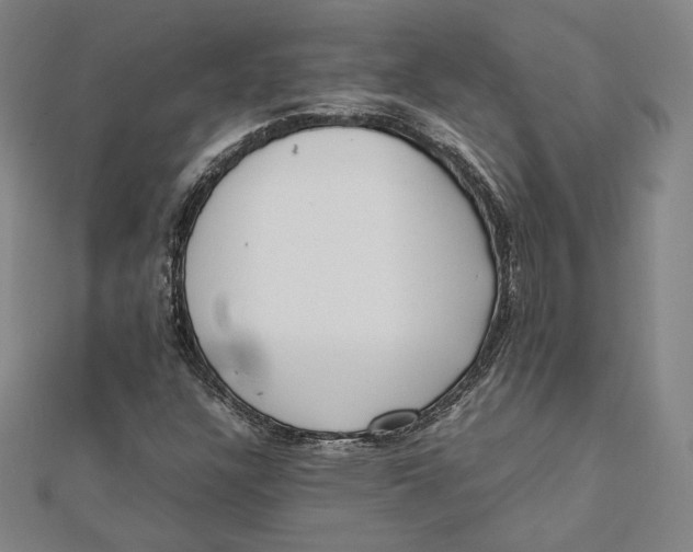 X0000112051304200908250949