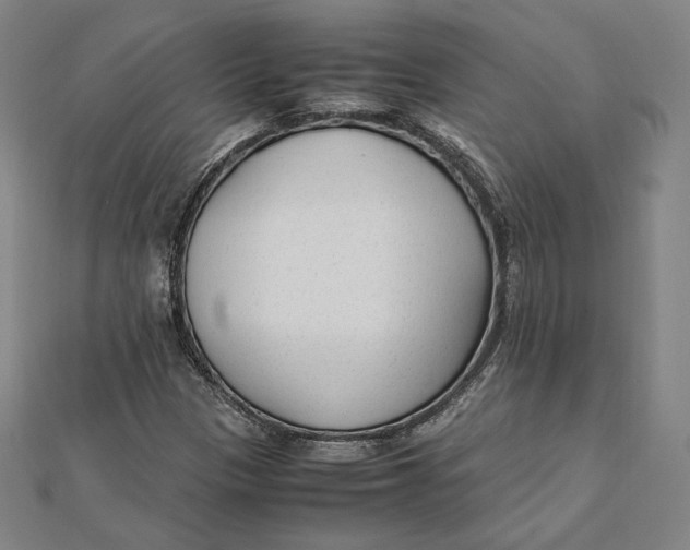 X0000112051305200908250949