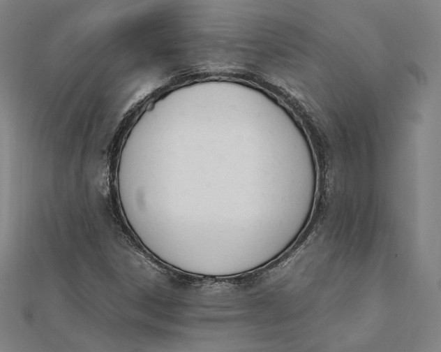 X0000112051306200908250949