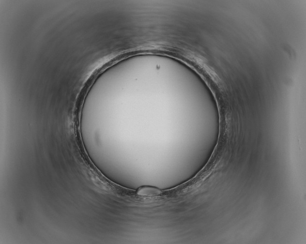 X0000112051308200908250949