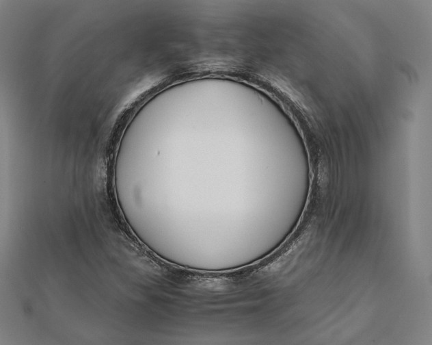 X0000112051309200908250949