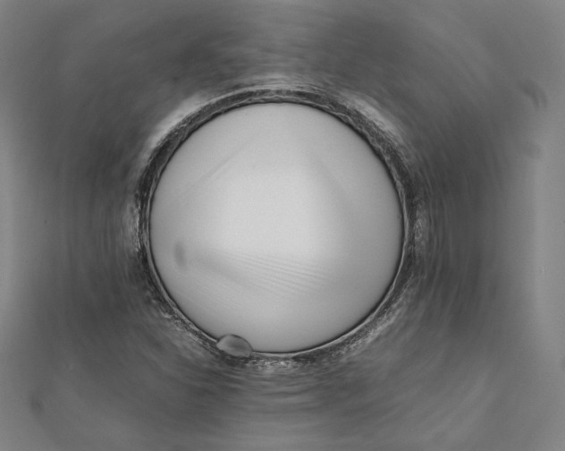 X0000112051310200908250949