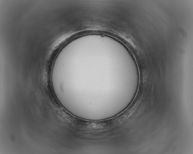 X0000112051311200908250949