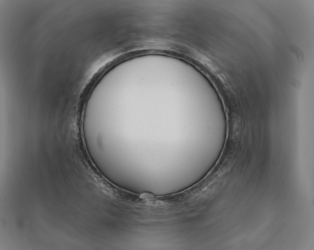 X0000112051312200908250949