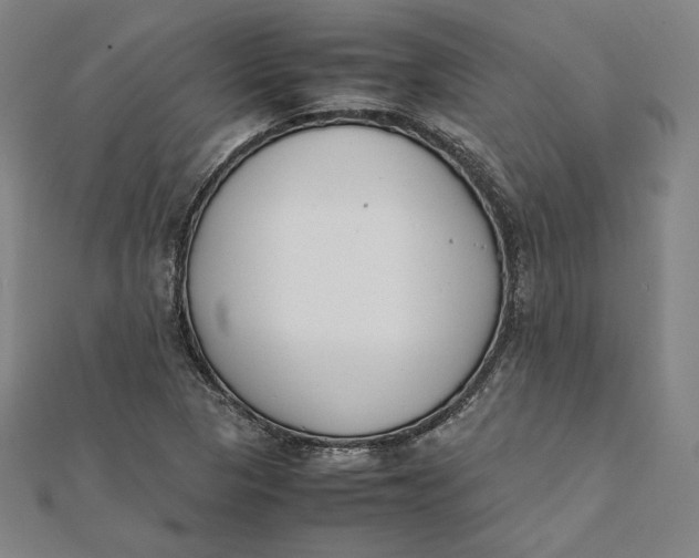 X0000112051313200908250949