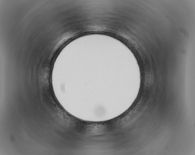 X0000112051314200908250949