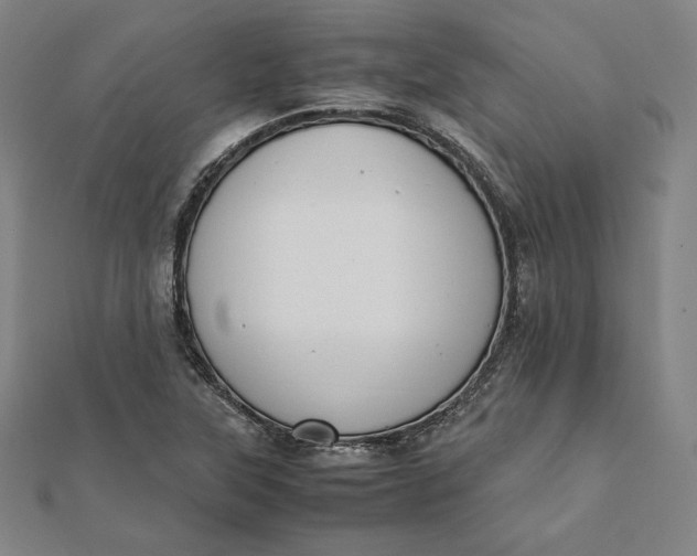 X0000112051315200908250949