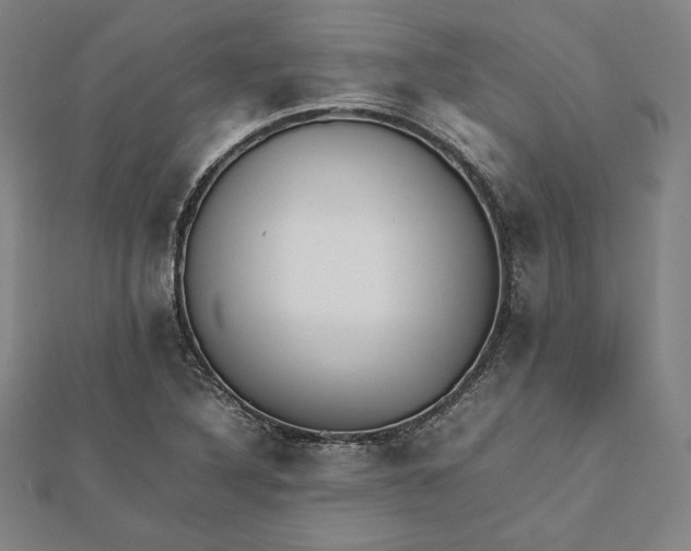 X0000112051316200908250949