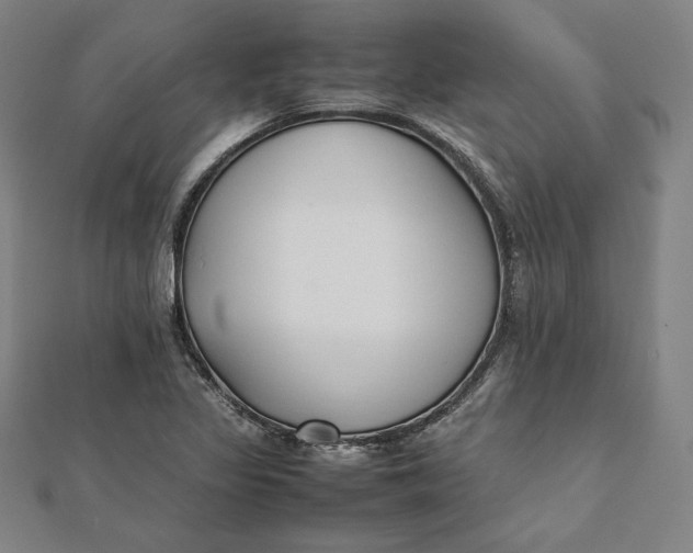 X0000112051317200908250949