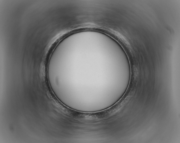 X0000112051318200908250950