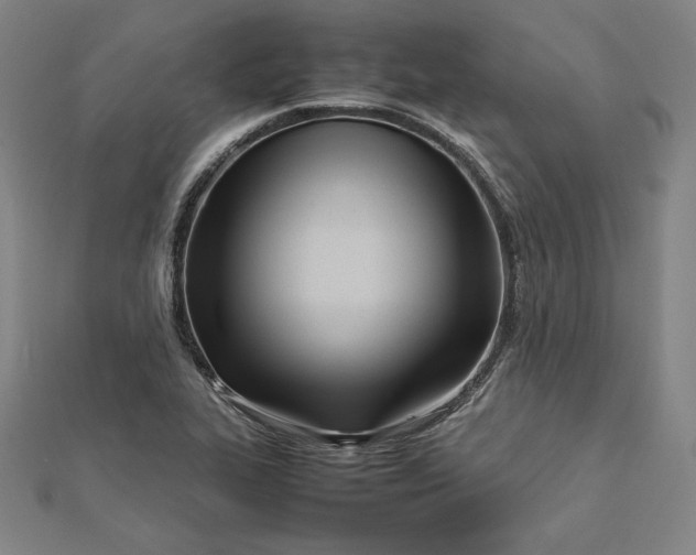 X0000112051319200908250950