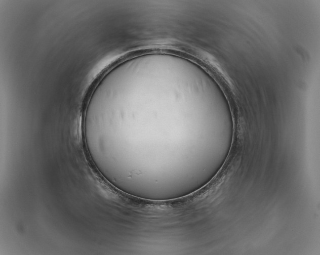 X0000112051320200908250950