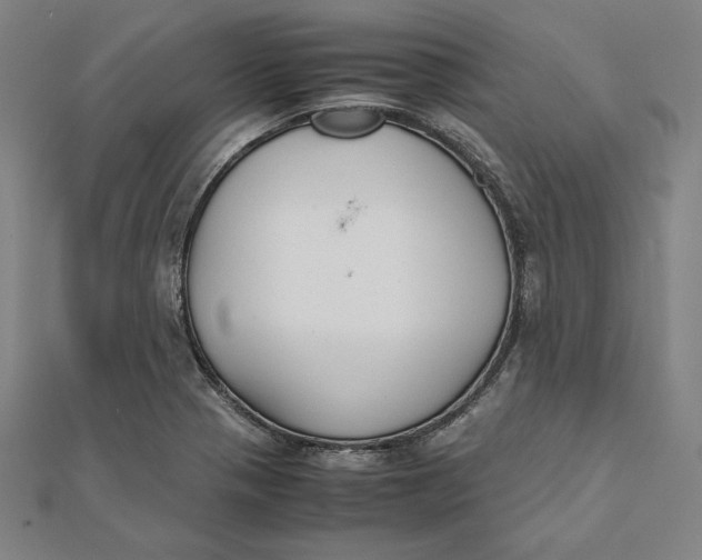 X0000112051321200908250950