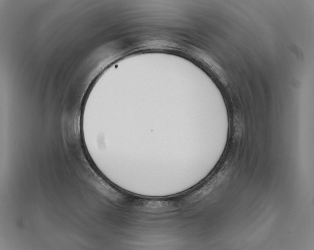 X0000112051322200908250950