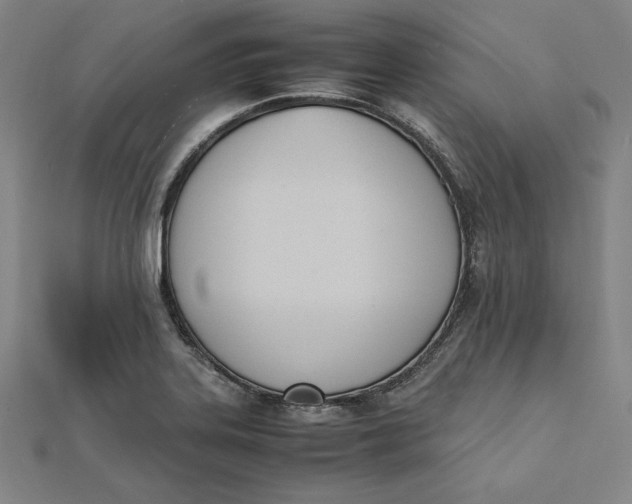 X0000112051323200908250950